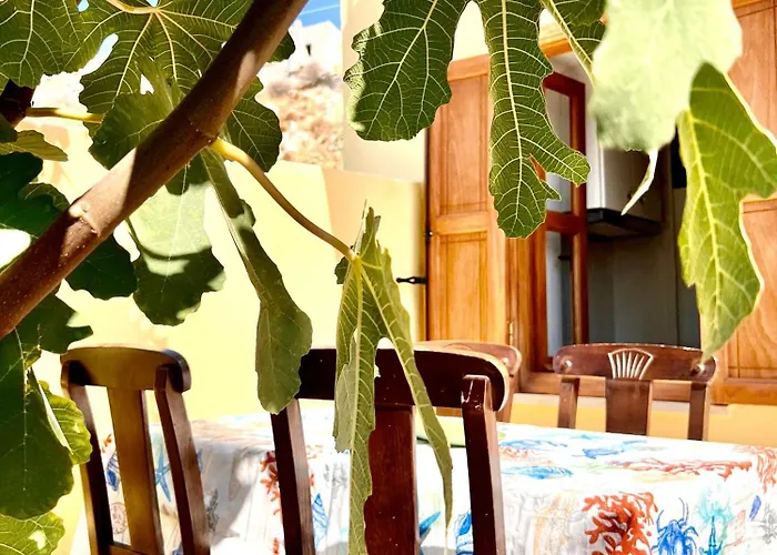 Roots House Сими