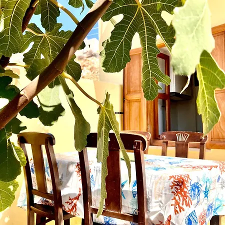 Roots House Symi