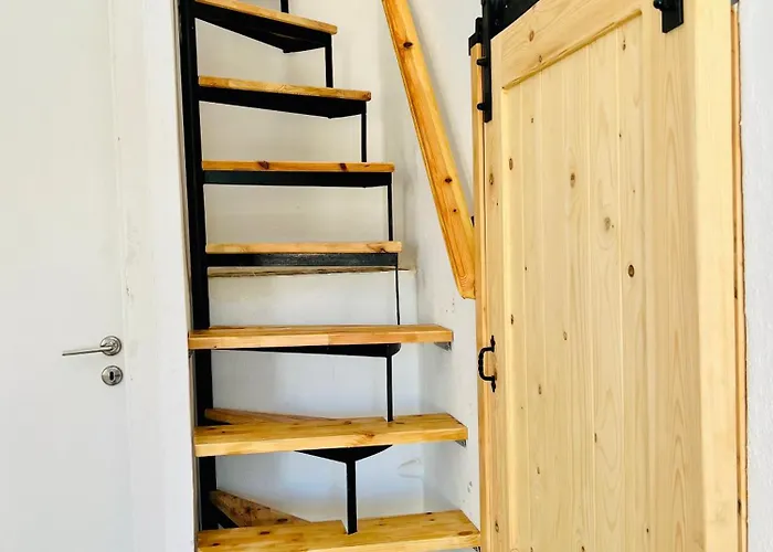 Roots House * シミ